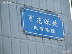 -百花深处胡同