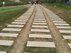 -光明小镇欢乐田园