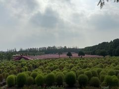 -嘉北郊野公园