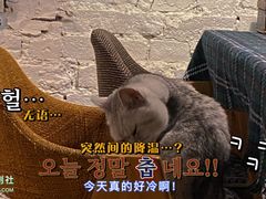 -不舍昼夜咖啡馆