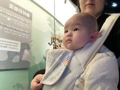 -陕西自然博物馆