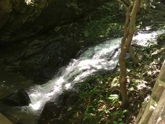 -藏龙百瀑风景区