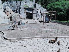 -哈尔滨北方森林动物园