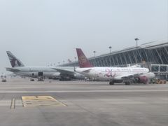 -上海浦东国际机场-T2航站楼