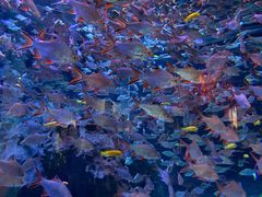 -成都浩海立方海洋公园