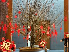 -养云安缦吧THE BAR