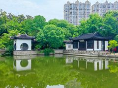 -红梅公园