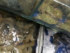 -香满居张记小厨私房菜(青岛站店)