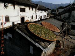 -祁门牯牛降观音堂风景区