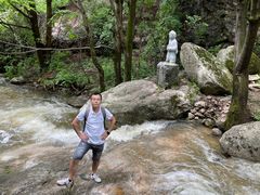 -王顺山国家森林公园