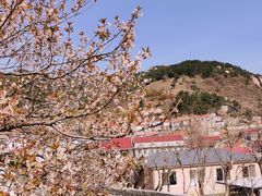 -崂山九水游览区