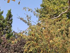 -元大都城垣遗址公园