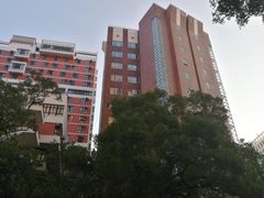 -香港大学