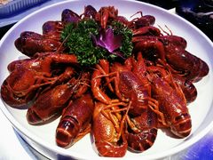 白灼龙虾-96农蝎虾(江桥老街店)