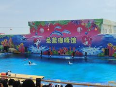 -北戴河圣蓝海洋公园