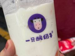 乐乐桃桃酸奶多-一只酸奶牛(八一路店)