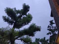 -思南公馆