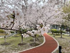 -江南大学(蠡湖校区)