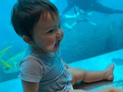 -瑞德姆美人鱼海底演艺主题餐厅(亚龙湾店)
