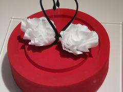 -罗红摄影艺术馆