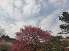 -杭州植物园