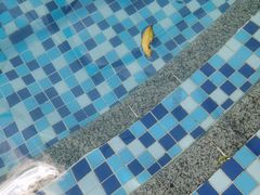 -熹乐谷温泉度假区