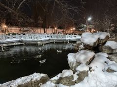 -北京市海淀外国语实验学校