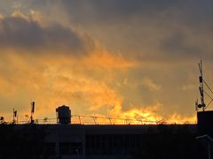 -长虫山生态公园风景林