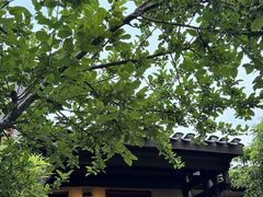 -黄陂区野村谷景区