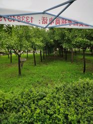-上美四季动物农场