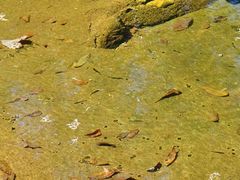 -洛阳白云山景区