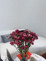 -WENDY·温迪皮肤管理