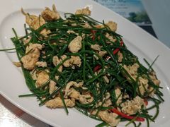 -新疆兵团食府清真(马连道店)