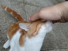 -快快(浦东新区年家浜路)