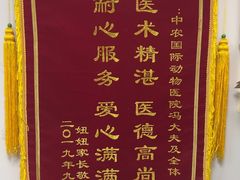 -中农国际动物医院24小时·猫科·骨科·急重症中心