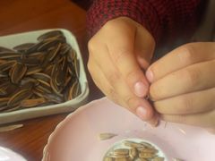 -陶享时光西餐·下午茶·竹林花园(新城店)