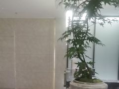 -深圳楚天大酒店(福田口岸深圳会展中心店)