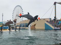 -秦皇岛乐岛海洋王国