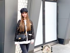 -momokira米努特·德文卷毛猫·棉花面纱犬