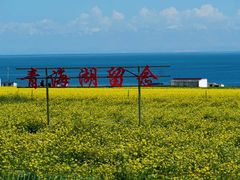 -青海湖国家重点风景名胜区