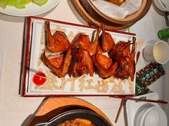 -大鸽饭(动物园店)