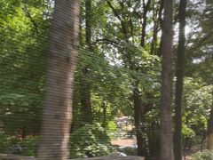 -吉林市朱雀山国家森林公园