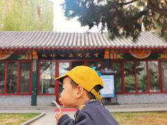 -护国法轮寺