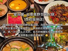 -西双版纳傣族园