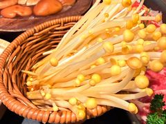-季季山·云南野生菌火锅(上海首店)