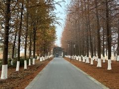 -苏州太湖国家湿地公园