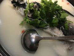 -全乐鱼馆·淳牌有机鱼直营店