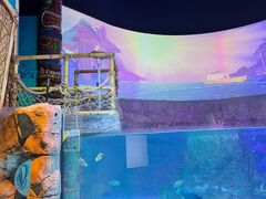 -沈阳海洋探索中心