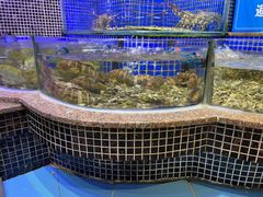 -青蓬蒸汽海鲜·深圳老字号·团建聚会(壹方城店)