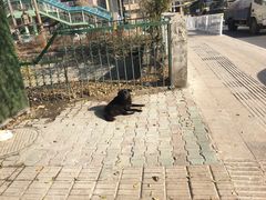 -吾斯曼珍珠抓饭王